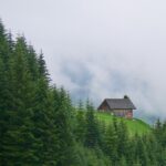 Ruhige Rückzugsorte in der Natur: Wohnen in Chalets